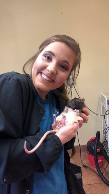 Cross County Veterinary Clinic team with a rat